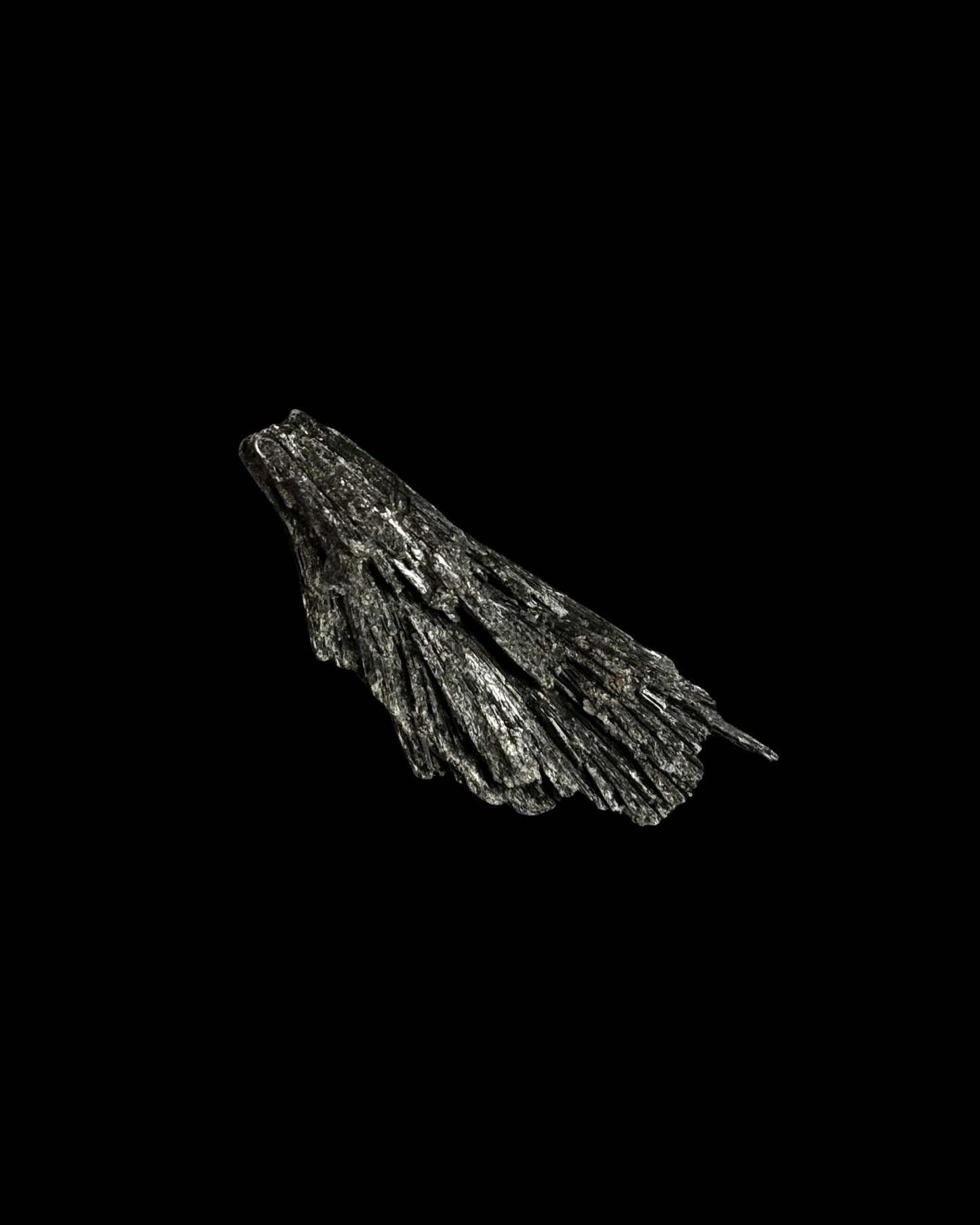 CIANITA NEGRA (TARAMITA CRISTALIZADA) (M)