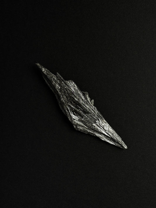 TARAMITA CRISTALIZADA (ESCOBA DE BRUJA)