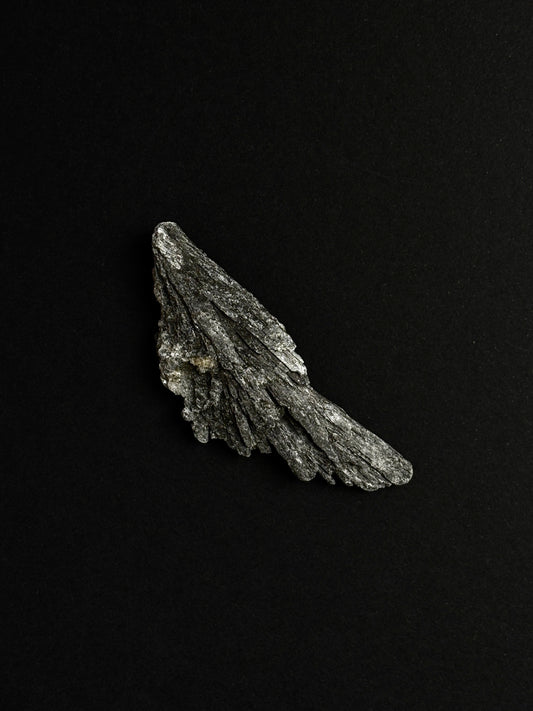 TARAMITA CRISTALIZADA (ESCOBA DE BRUJA)