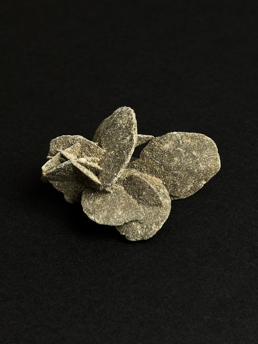 ROSA DEL DESIERTO BRUTO