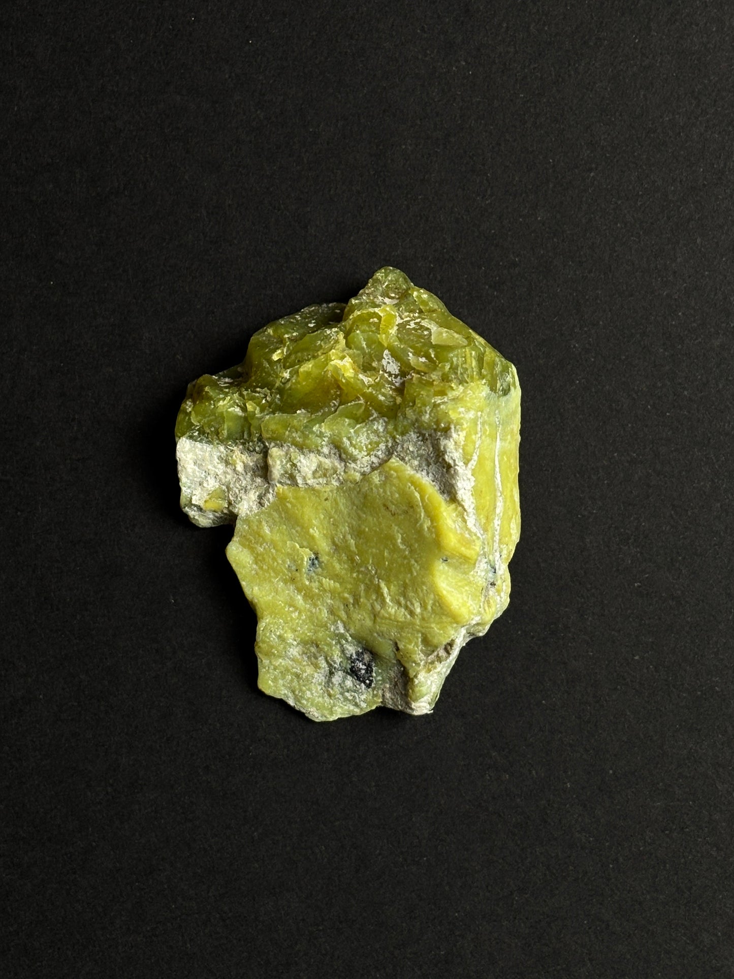 SERPENTINA BRUTO