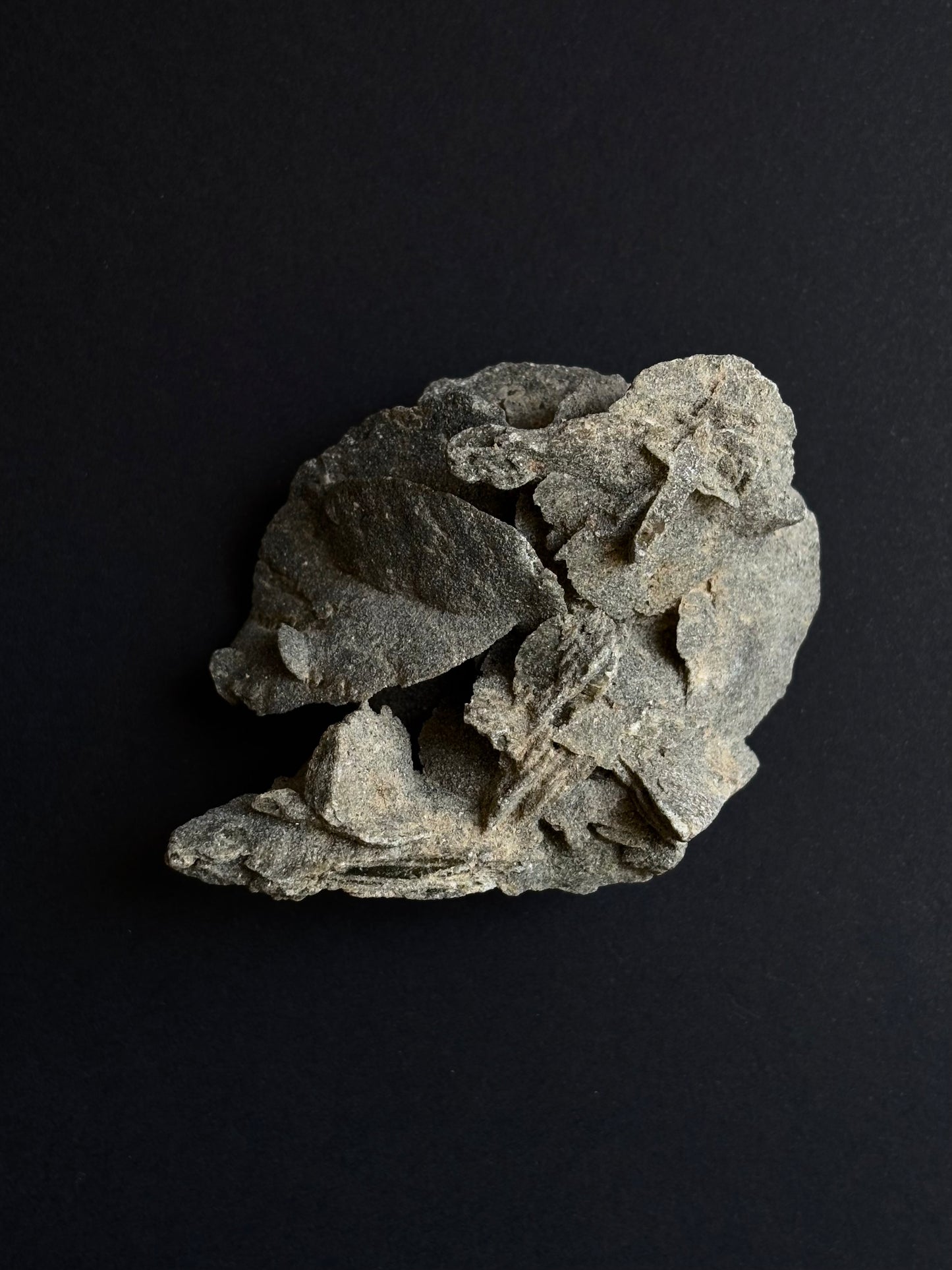 ROSA DEL DESIERTO BRUTO