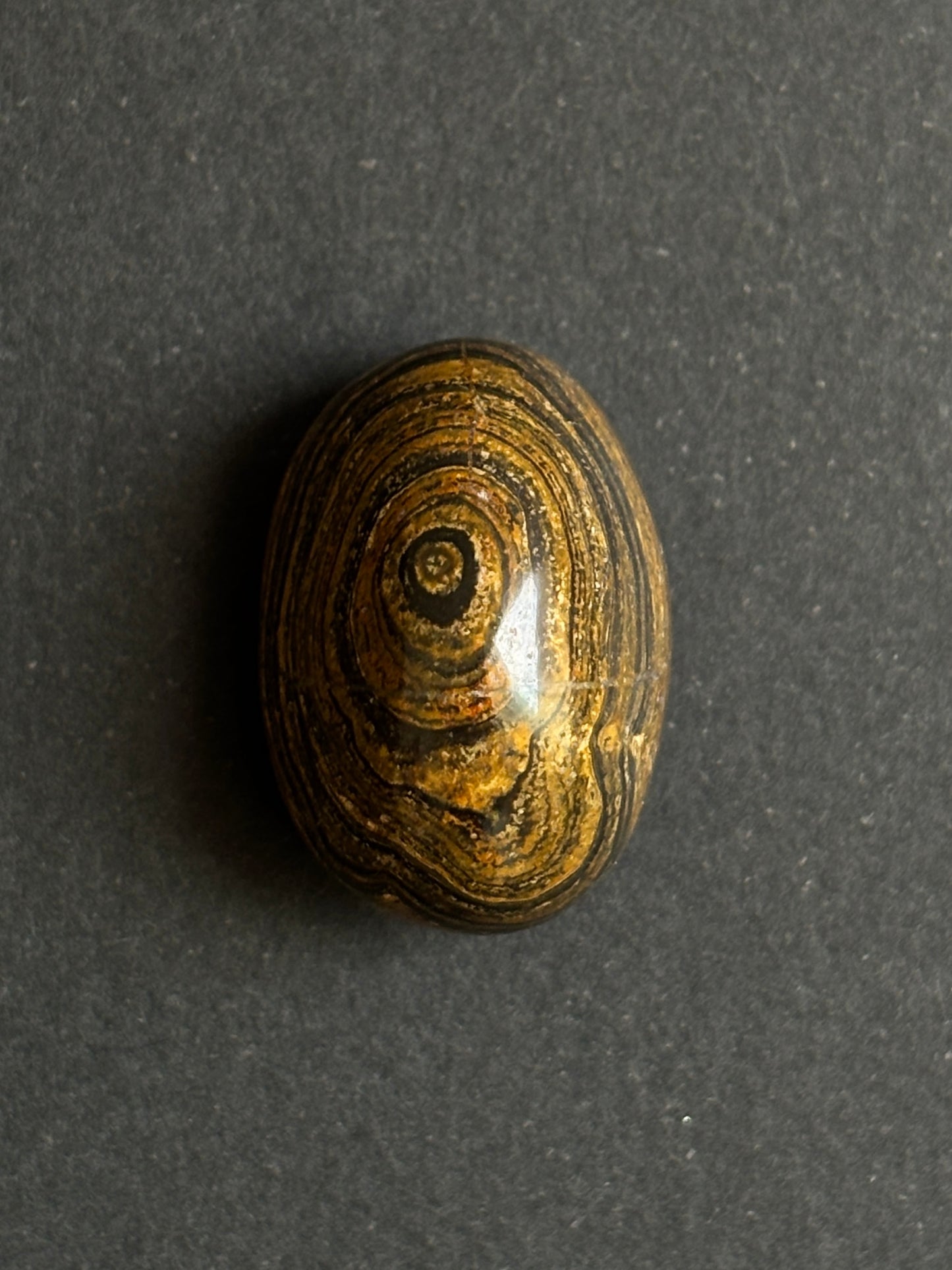 ESTROMATOLITA PULIDA