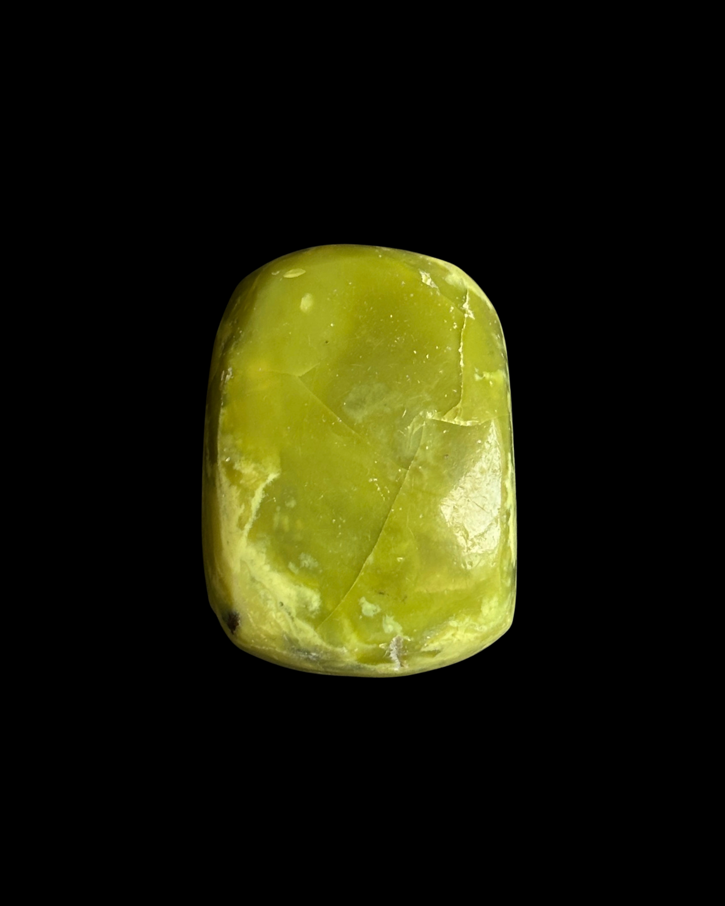 SERPENTINA PULIDA (M)