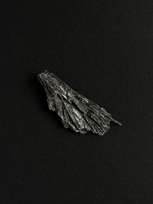 TARAMITA CRISTALIZADA (ESCOBA DE BRUJA)