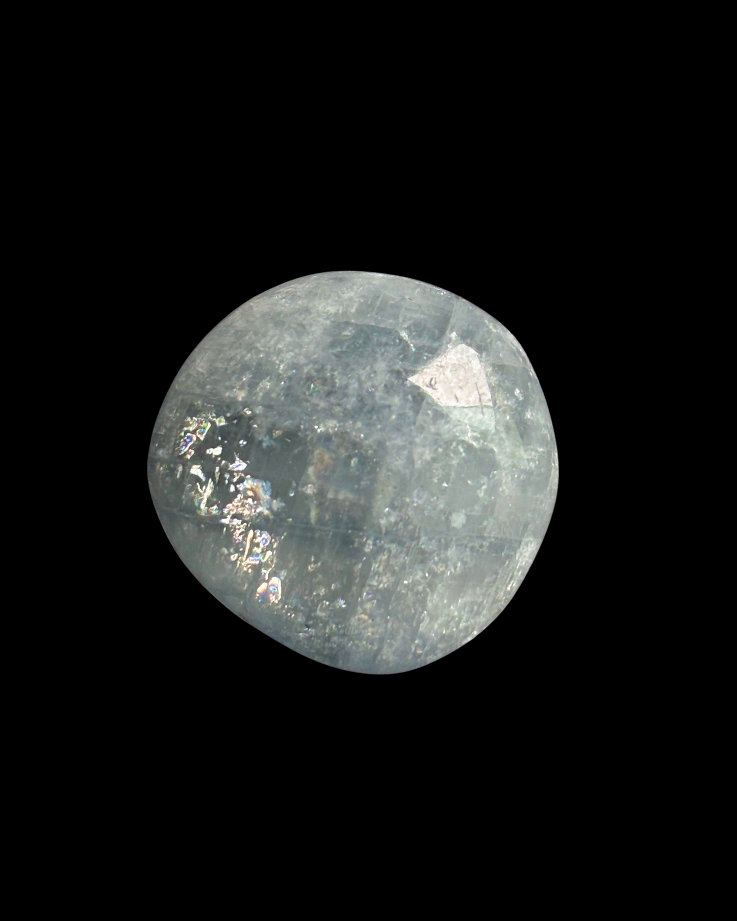 CELESTINA PULIDA (S)