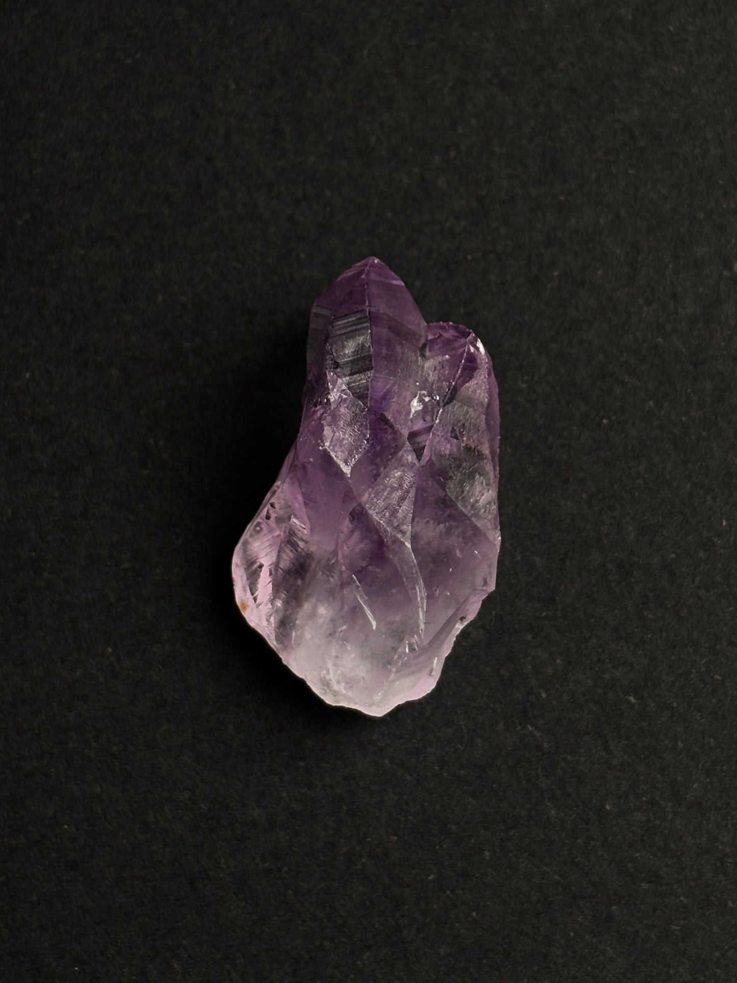 AMATISTA PUNTA