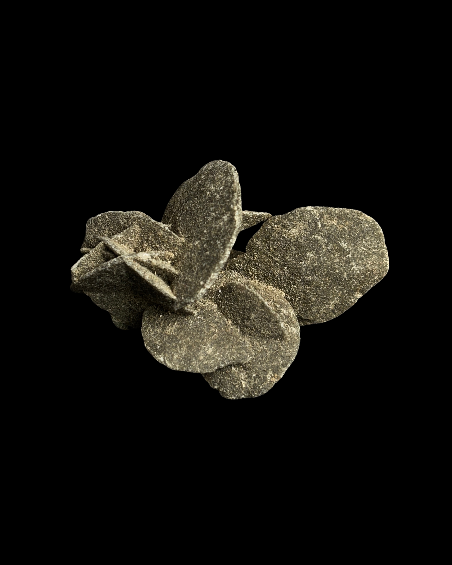 ROSA DEL DESIERTO BRUTO (M)