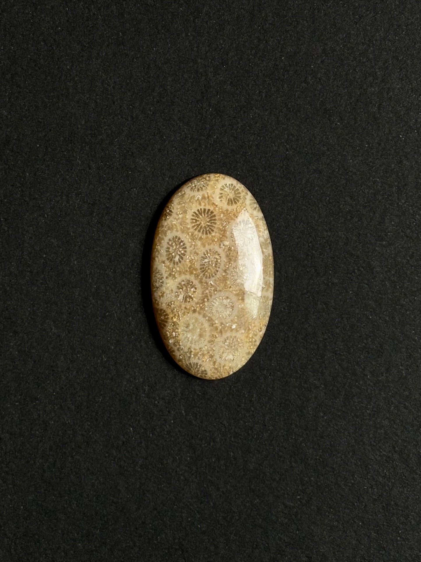 coral cabochon