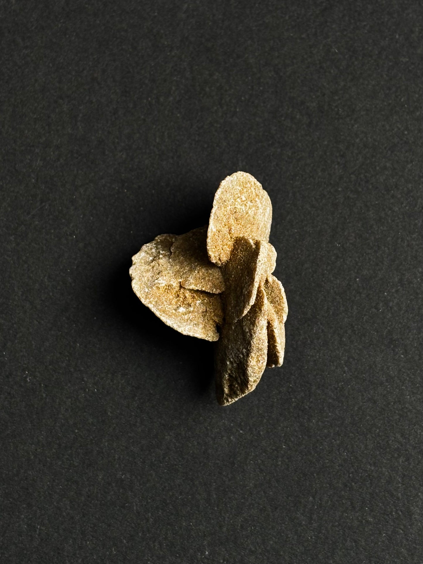 ROSA DEL DESIERTO BRUTO