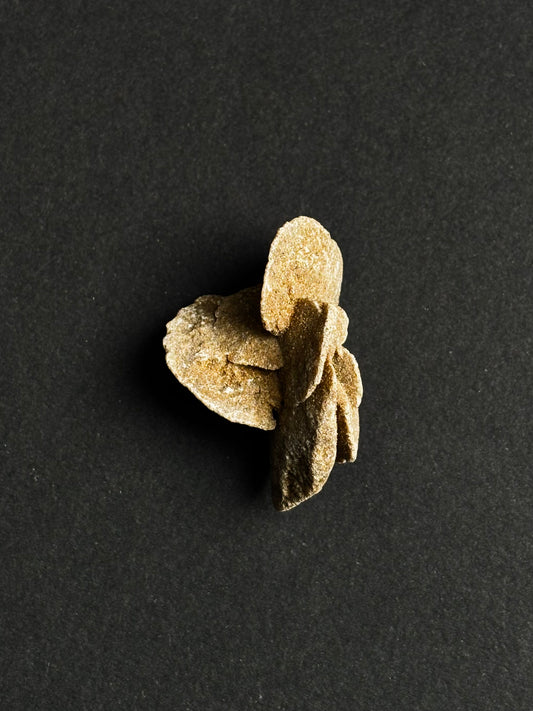 ROSA DEL DESIERTO BRUTO