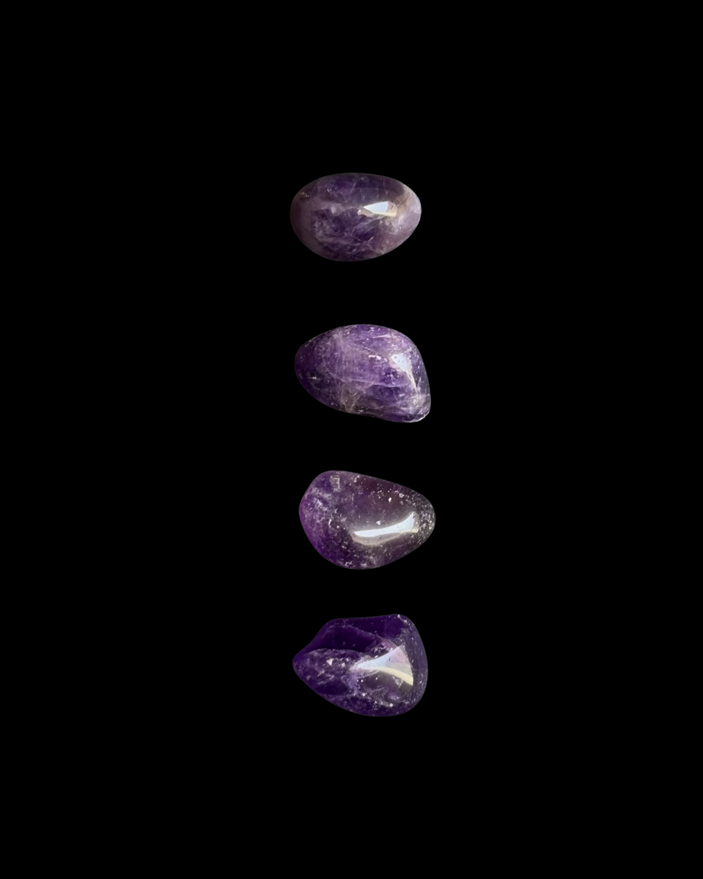 AMATISTA PULIDA (S)