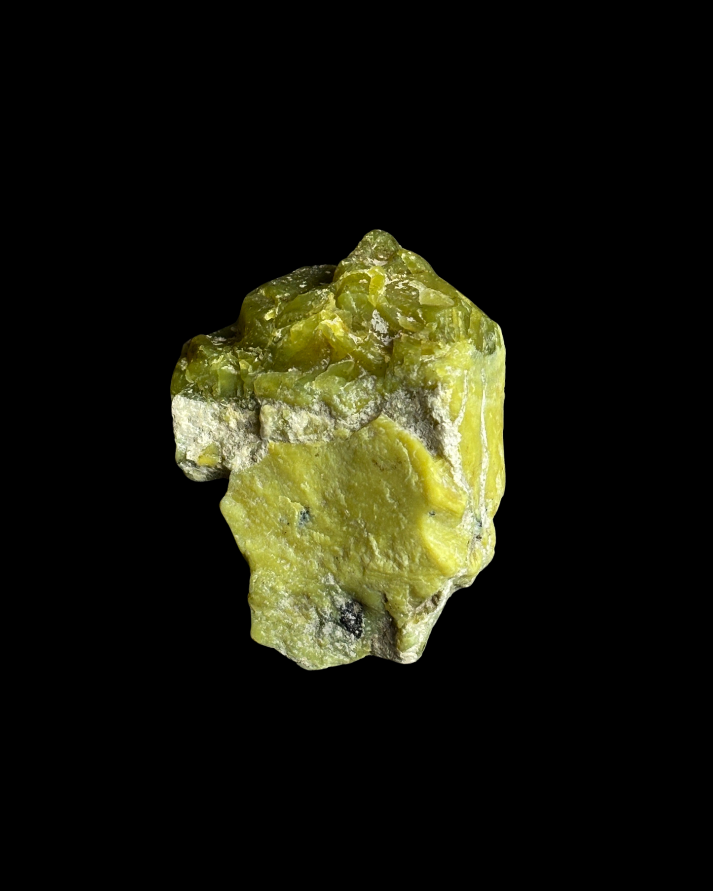 SERPENTINA BRUTO (M)