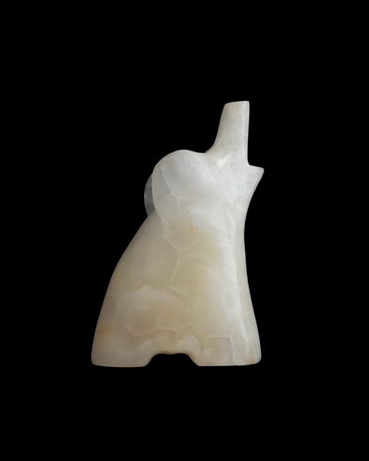 ÓNIX BLANCO ELEFANTE (L)