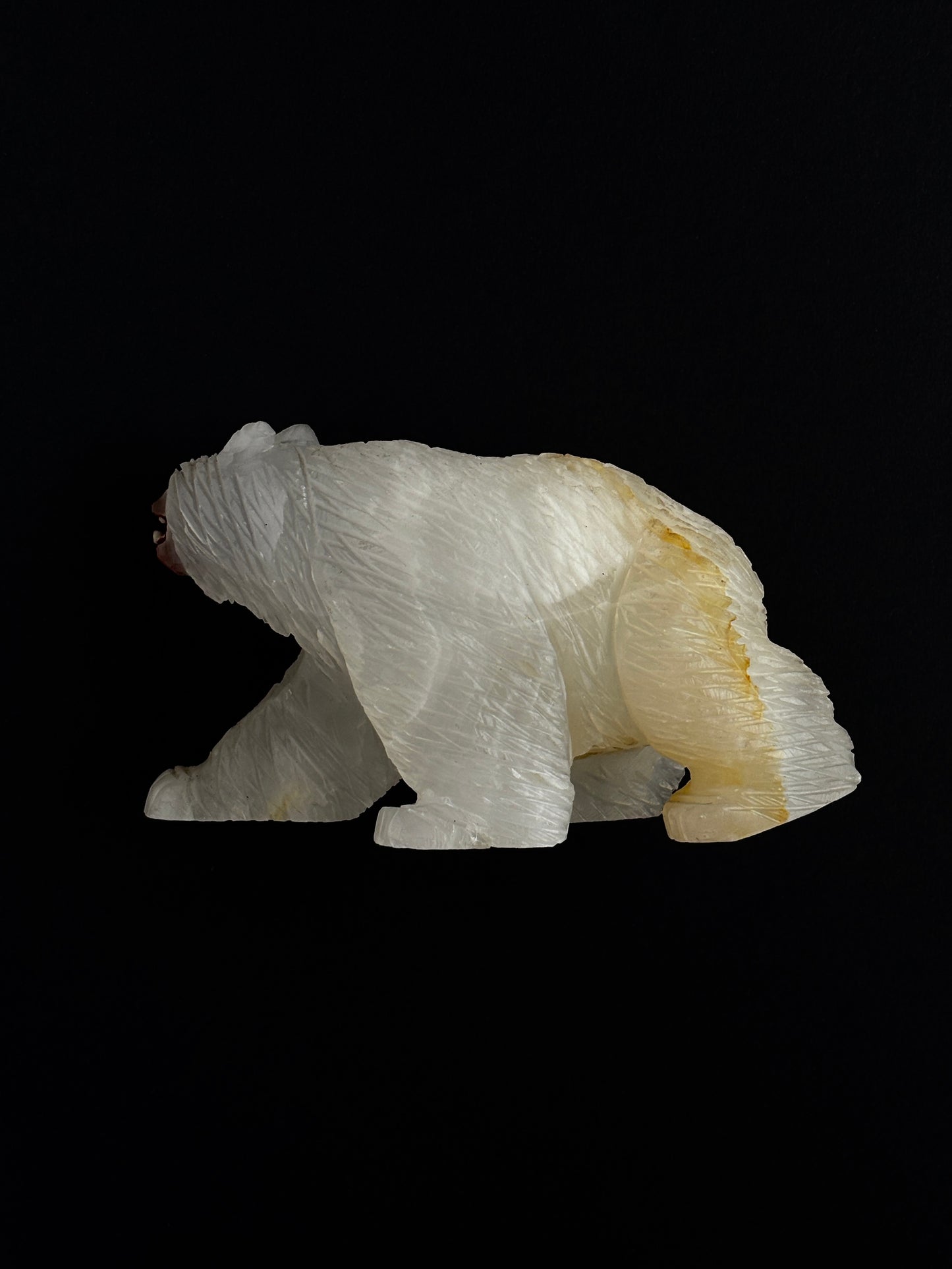 ÓNIX BLANCO Y GRANATE OSO (XL)