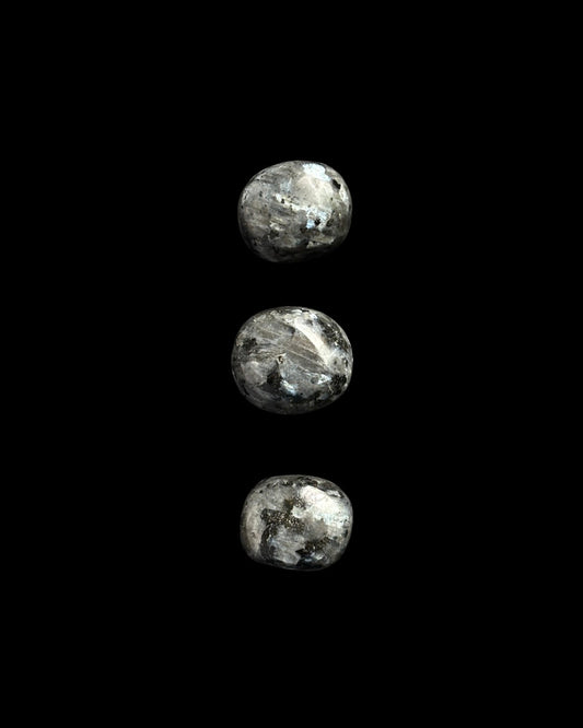 LARVIKITA PULIDA (S)