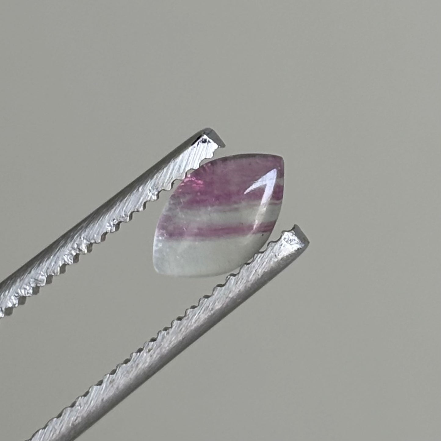 bicolor fluorite cabochon