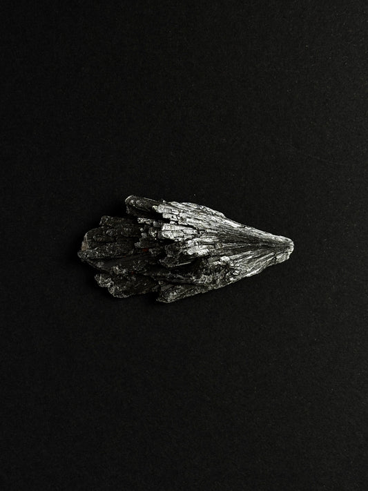 TARAMITA CRISTALIZADA (ESCOBA DE BRUJA)