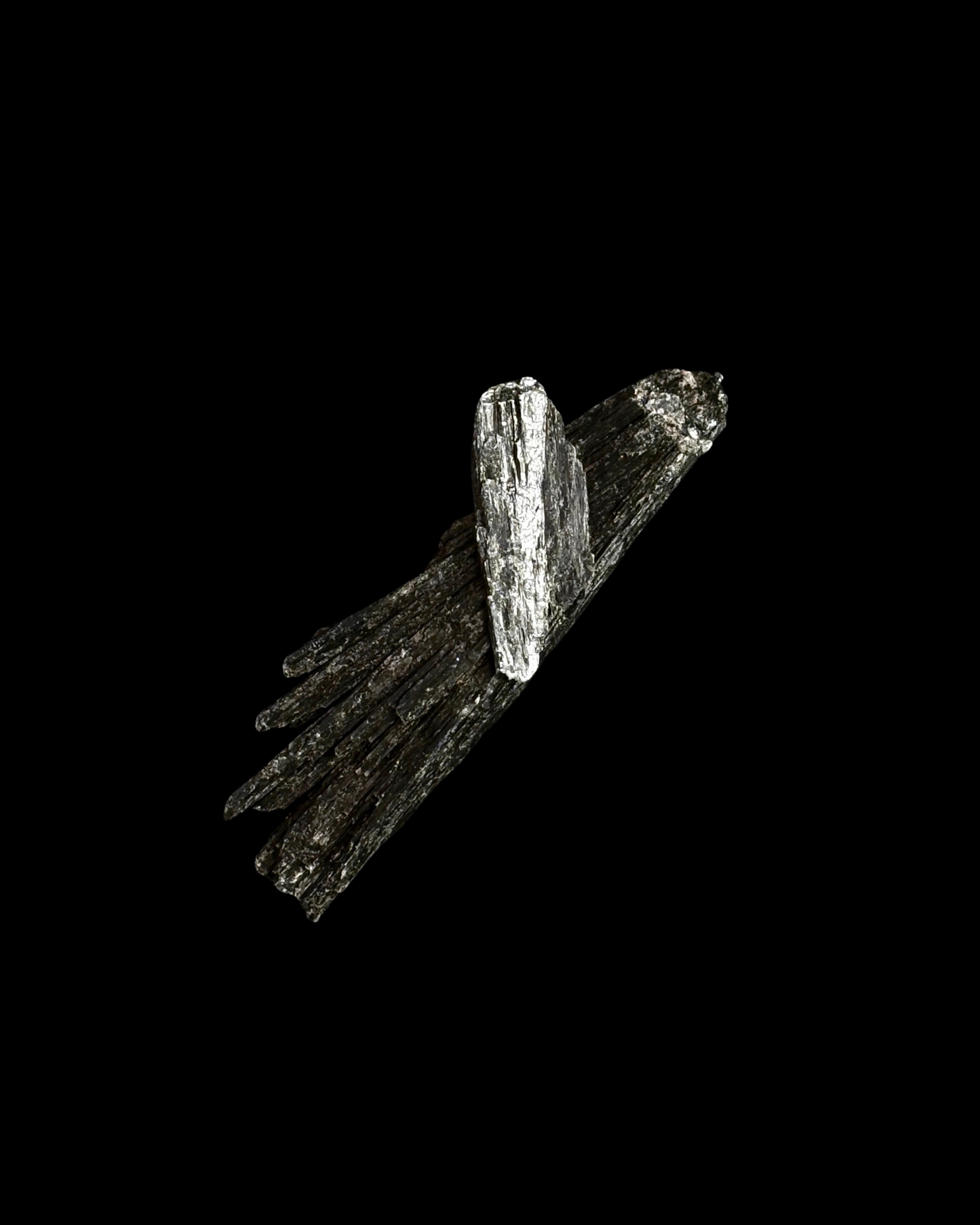 CIANITA NEGRA (TARAMITA CRISTALIZADA) (M)