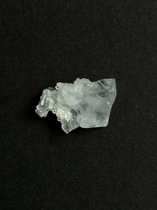 CELESTINA BRUTO