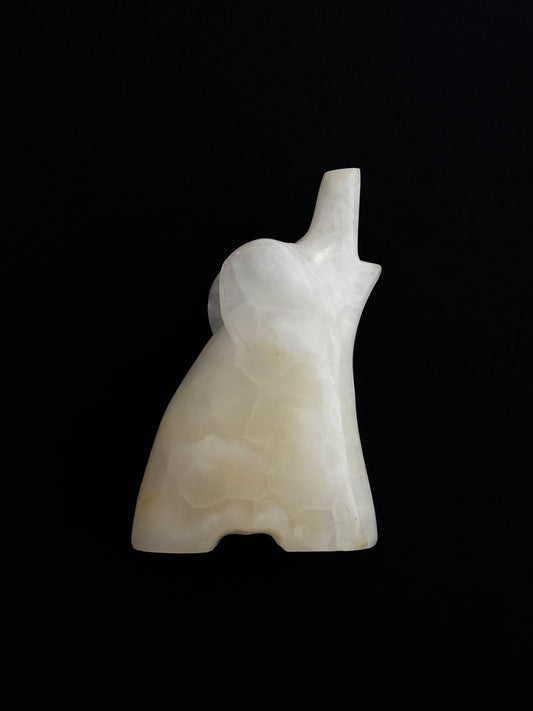 ÓNIX BLANCO ELEFANTE (L)