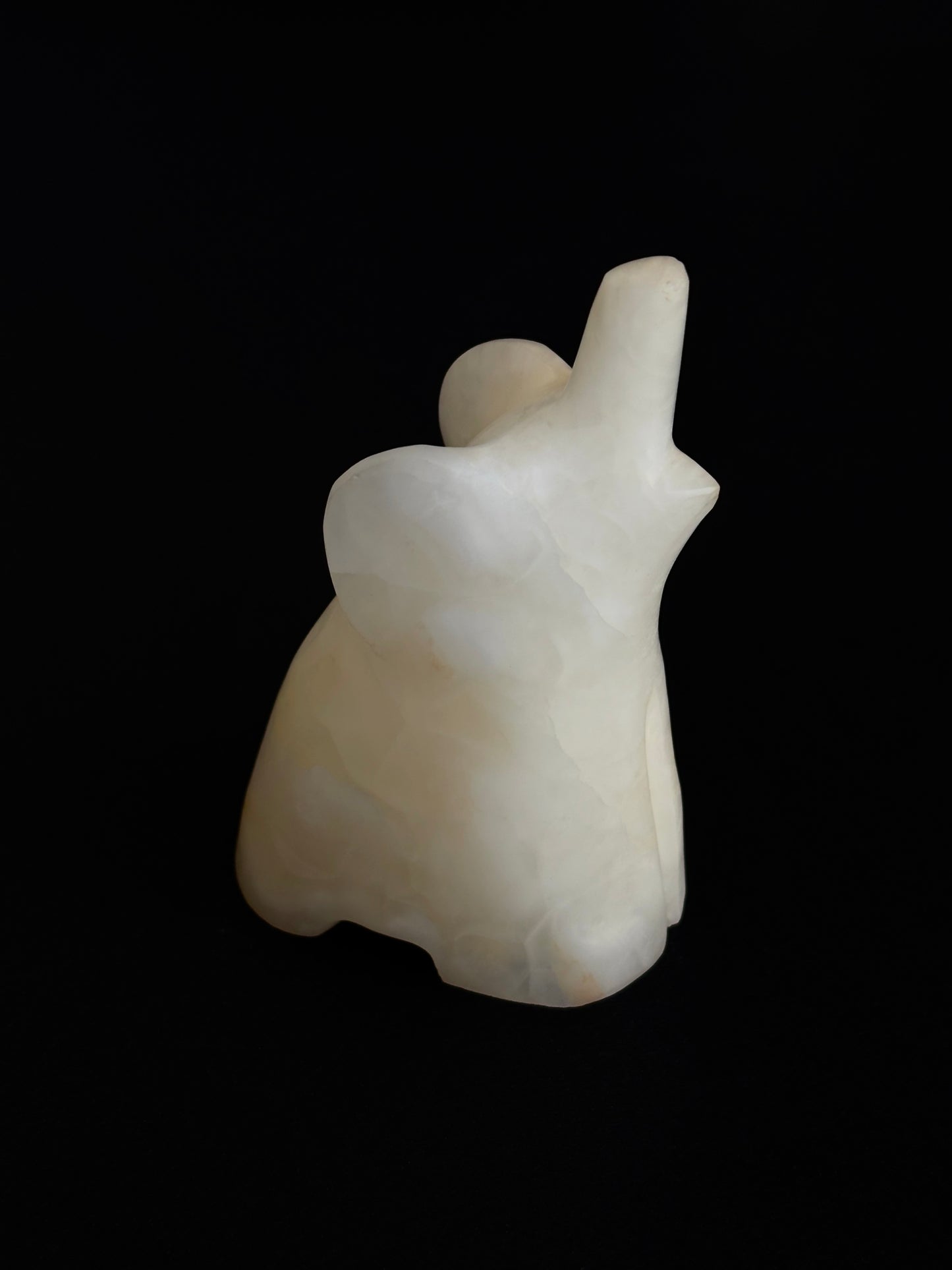 ÓNIX BLANCO ELEFANTE (L)