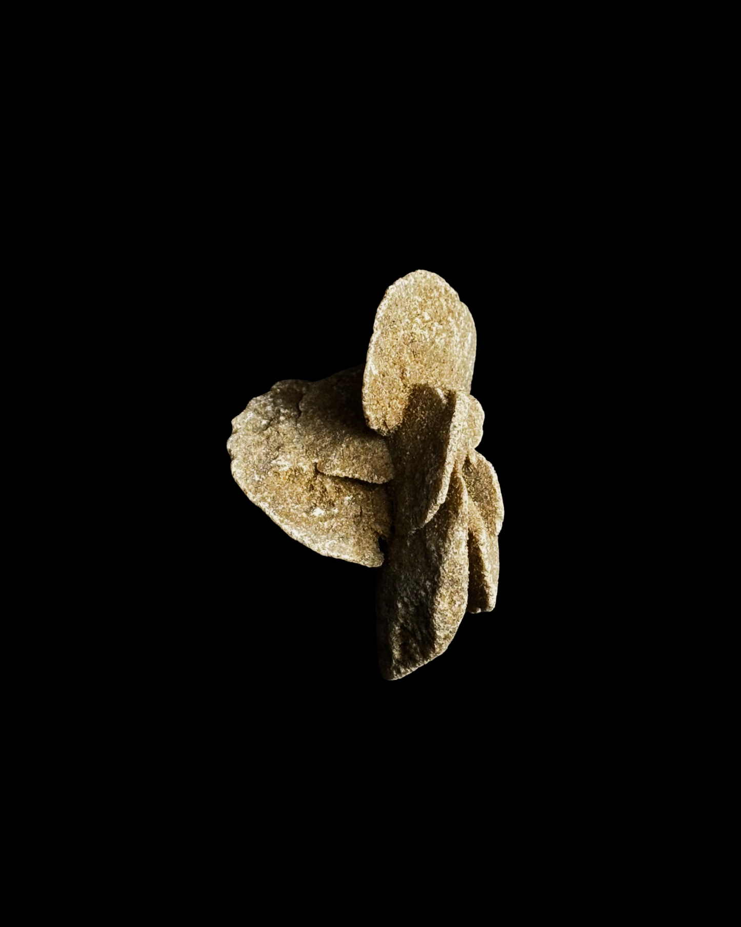 ROSA DEL DESIERTO BRUTO (M)