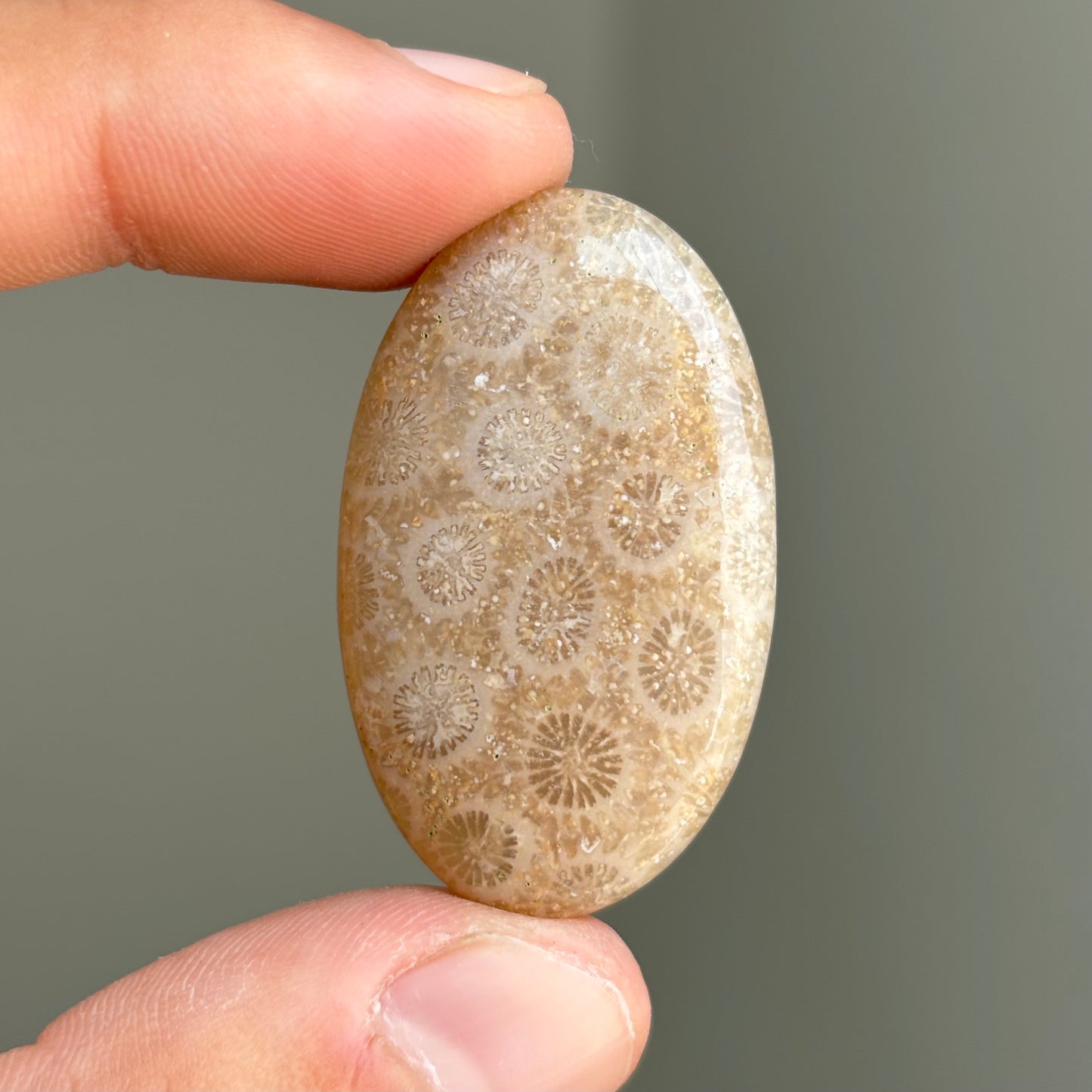 coral cabochon