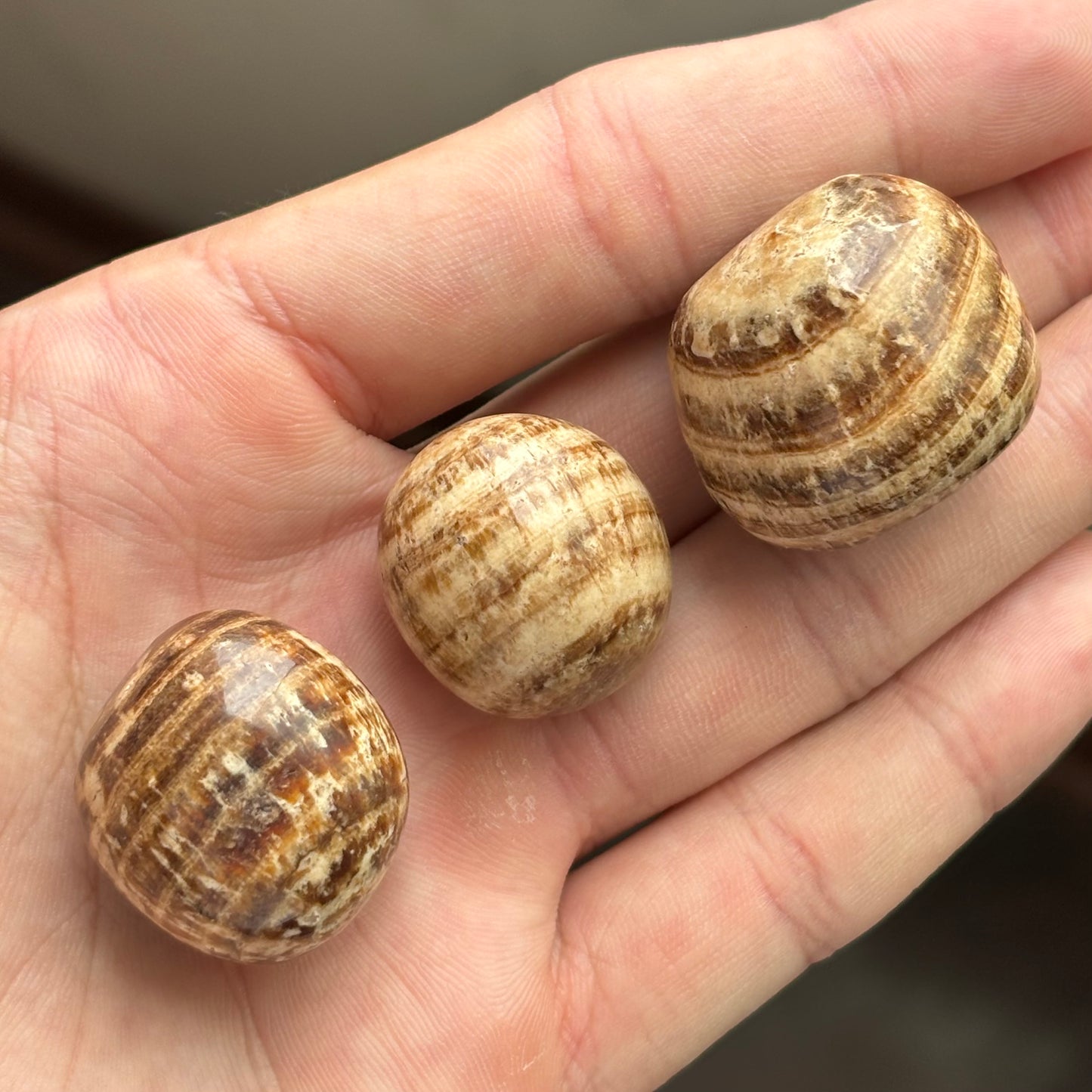 polished aragonite