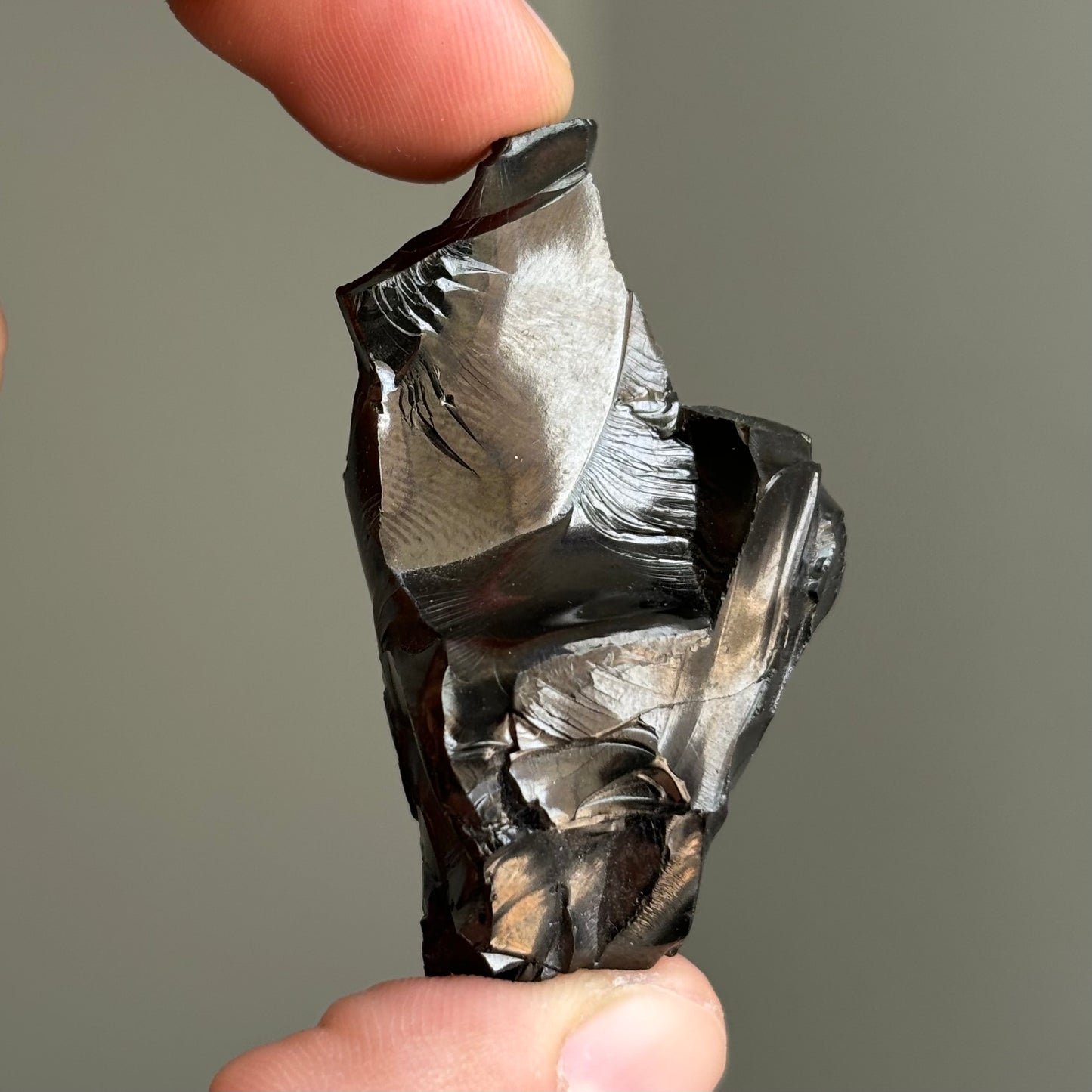 raw shungite