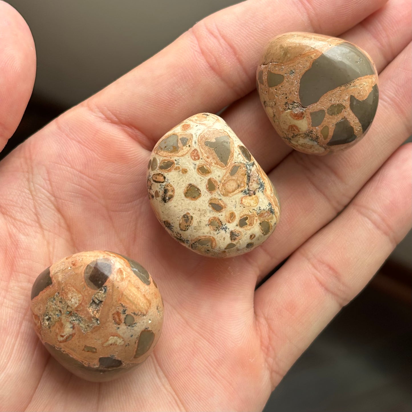 polished leopard jasper