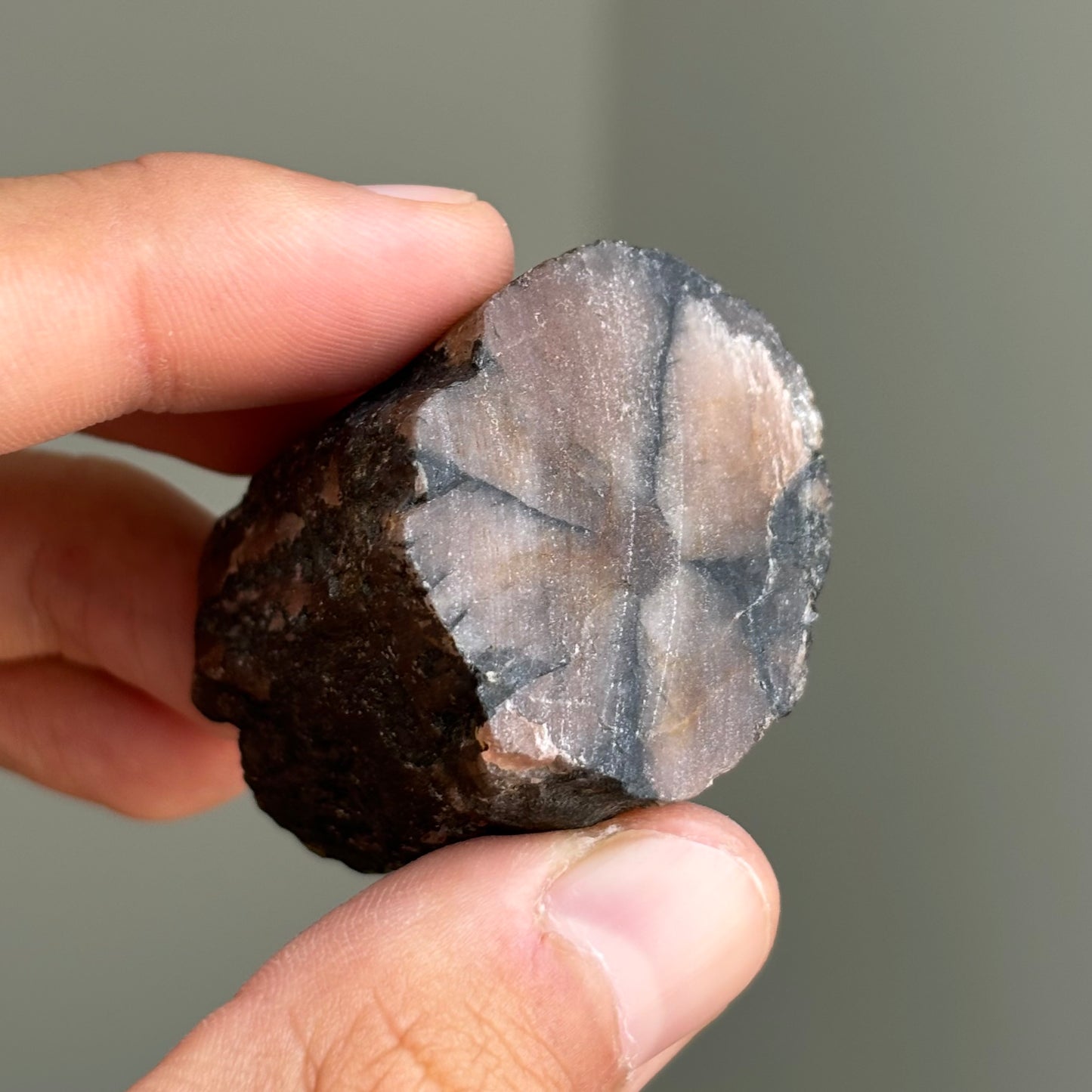 raw chiastolite