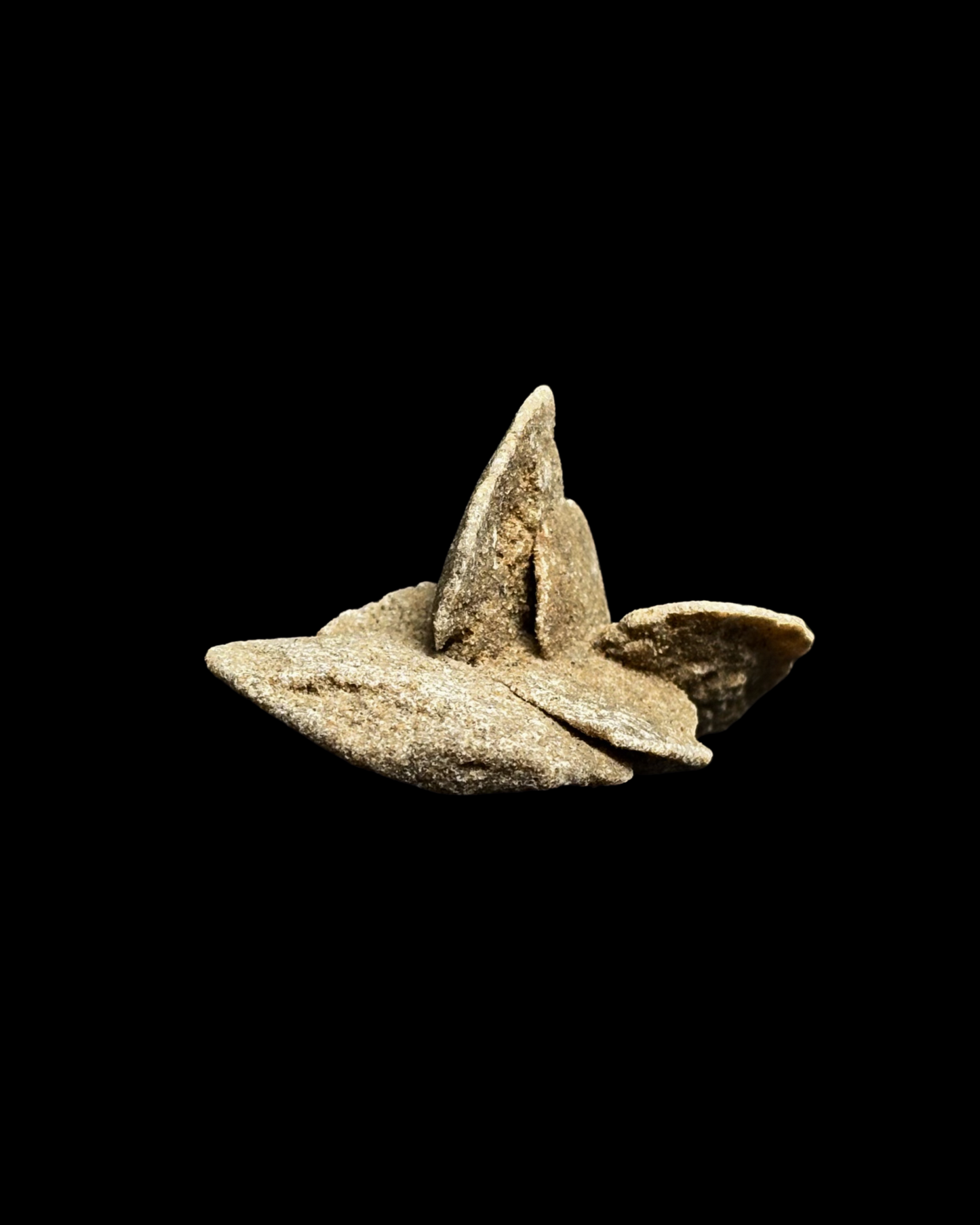 ROSA DEL DESIERTO BRUTO (M)