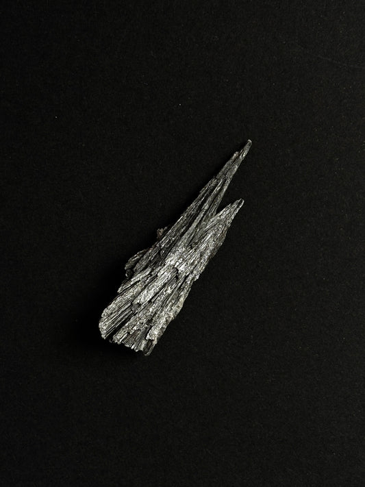 TARAMITA CRISTALIZADA (ESCOBA DE BRUJA)