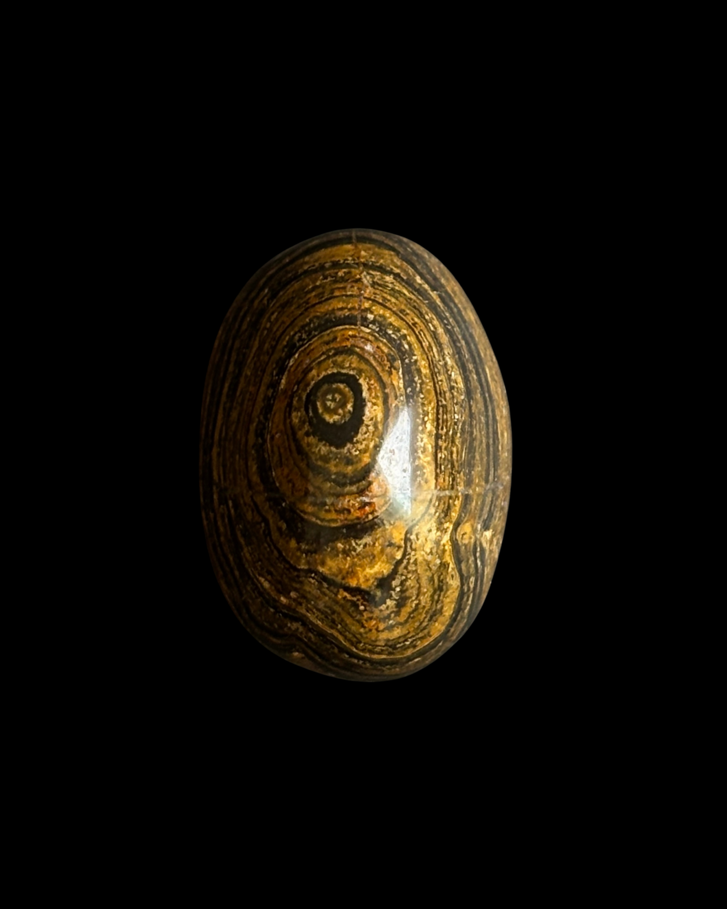 ESTROMATOLITA PULIDA (S)