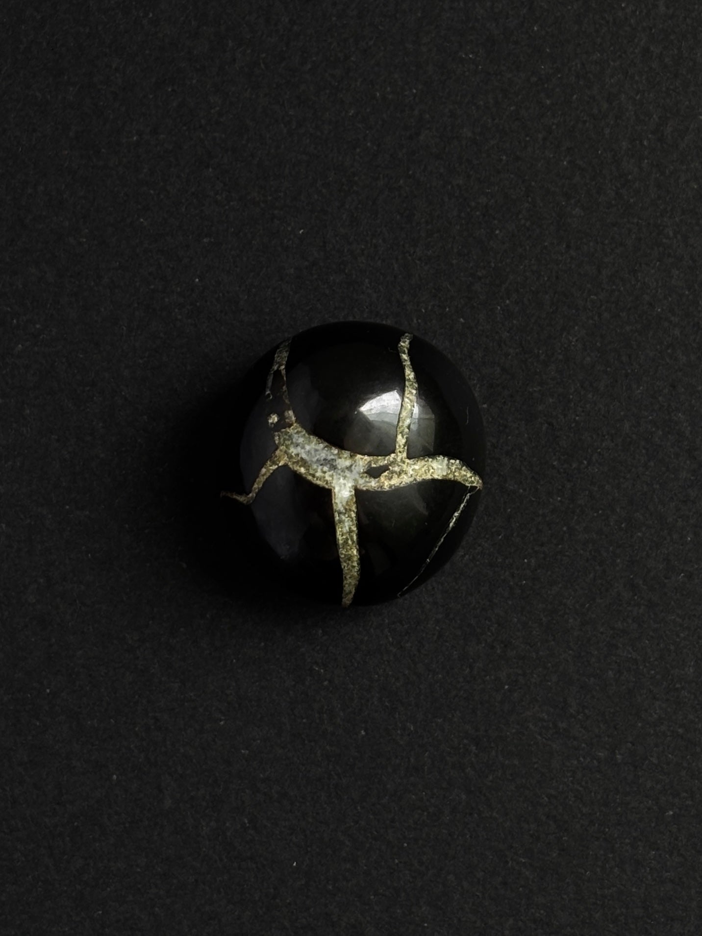 SEPTARIA PULIDA