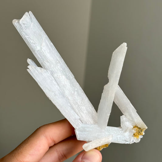 satin spar twin (selenite)