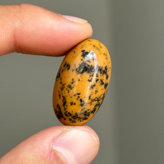 dendritic opal cabochon