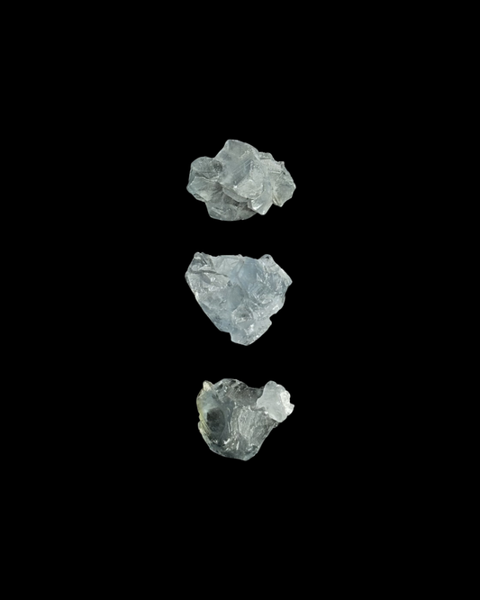 CELESTINA BRUTO (S)