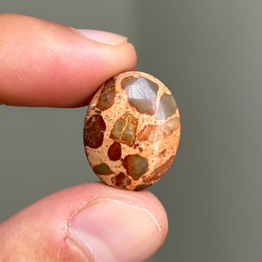 leopard jasper cabochon