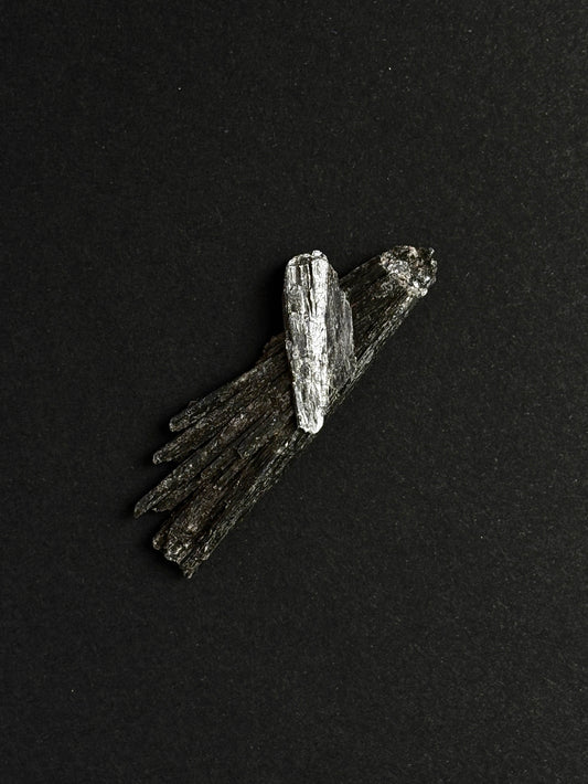 TARAMITA CRISTALIZADA (ESCOBA DE BRUJA)