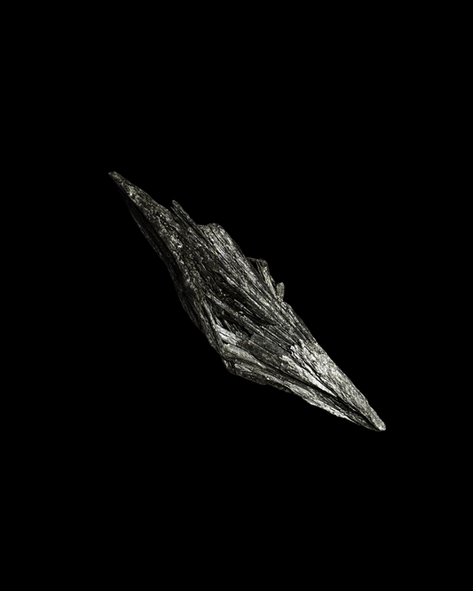 TARAMITA CRISTALIZADA (ESCOBA DE BRUJA) (L)