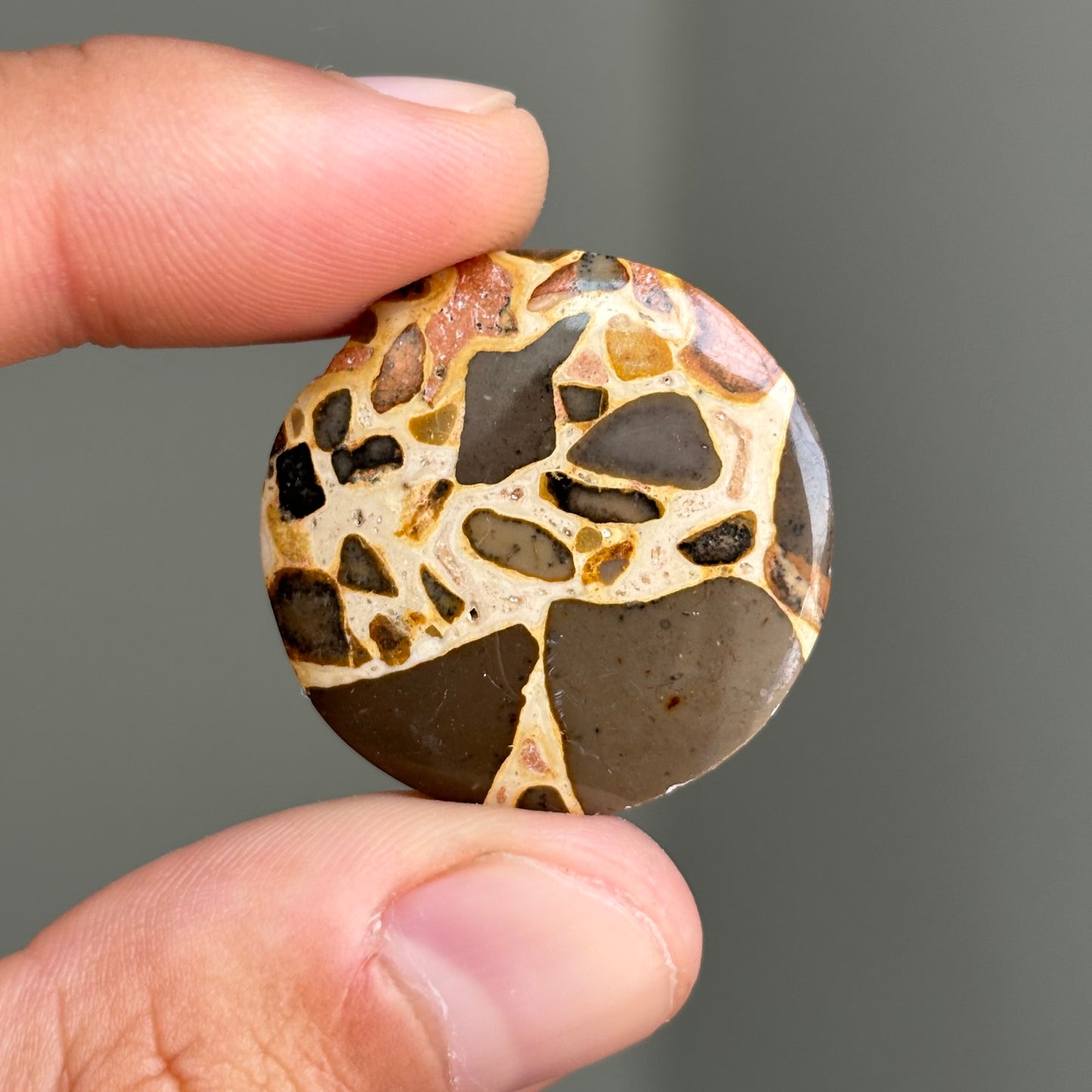 leopard jasper cabochon