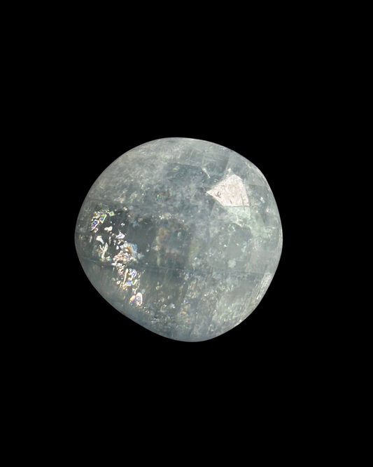 CELESTINA PULIDA (S)