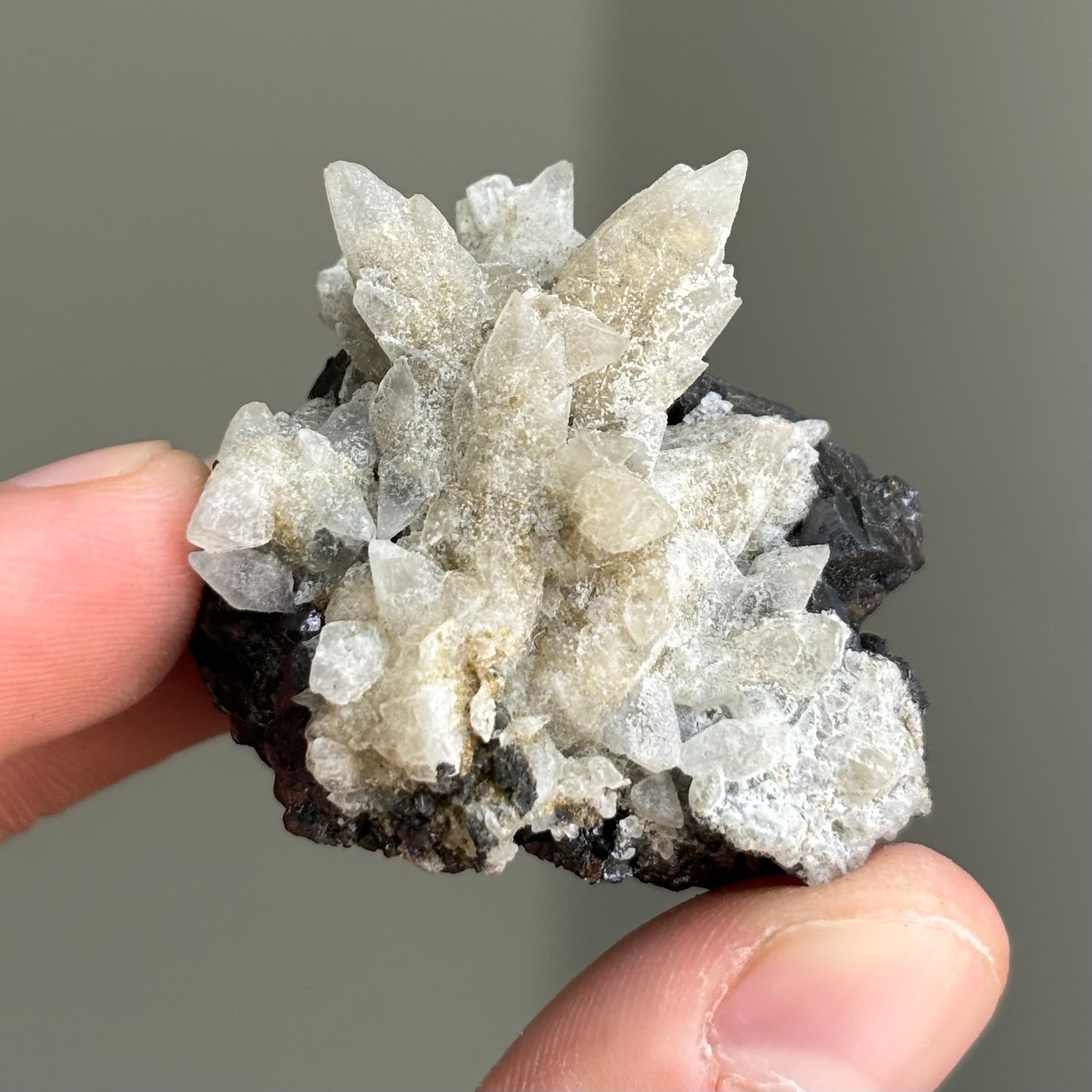 dog tooth calcite