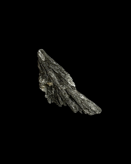 TARAMITA CRISTALIZADA (ESCOBA DE BRUJA) (L)