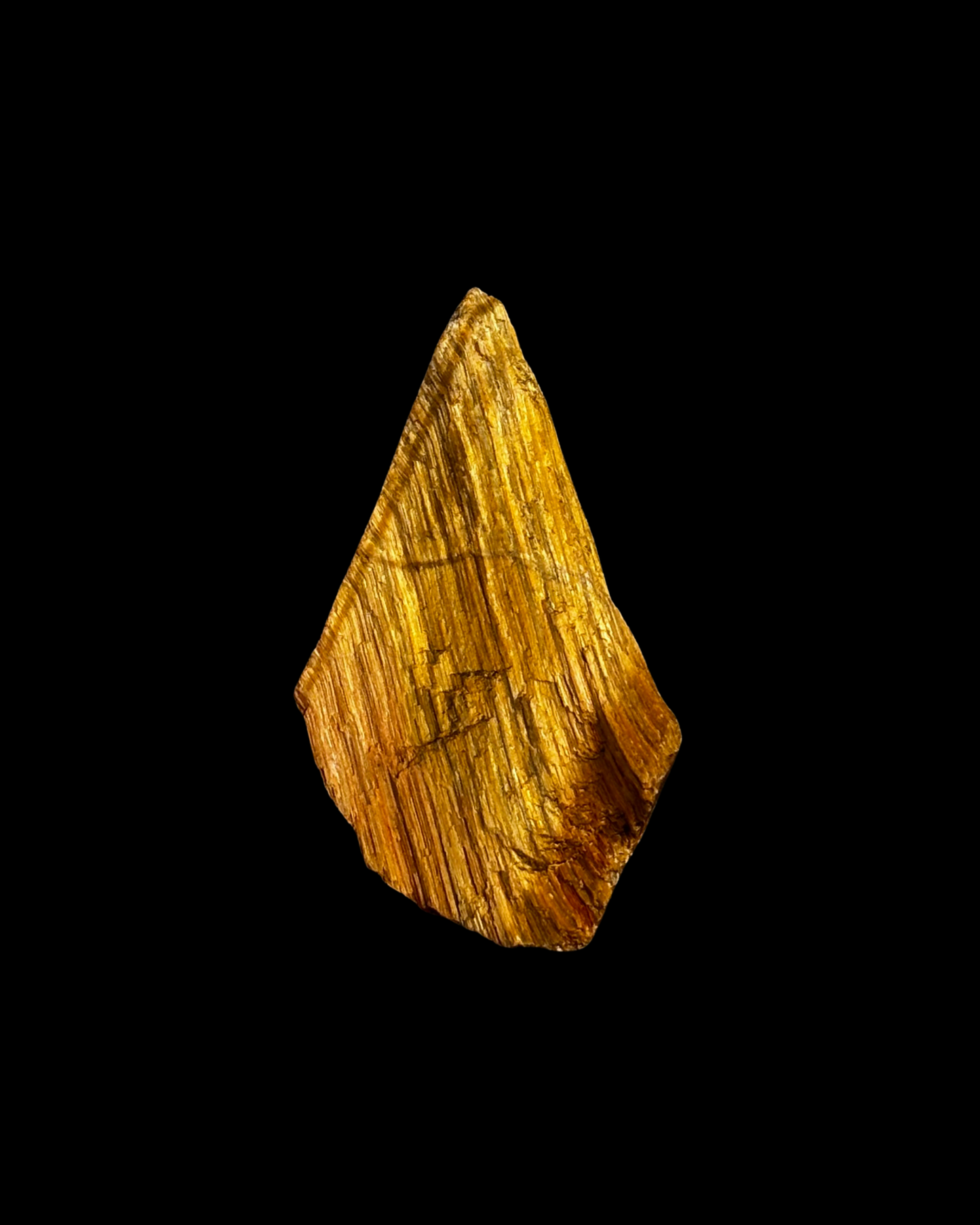 OJO DE TIGRE BRUTO (M)