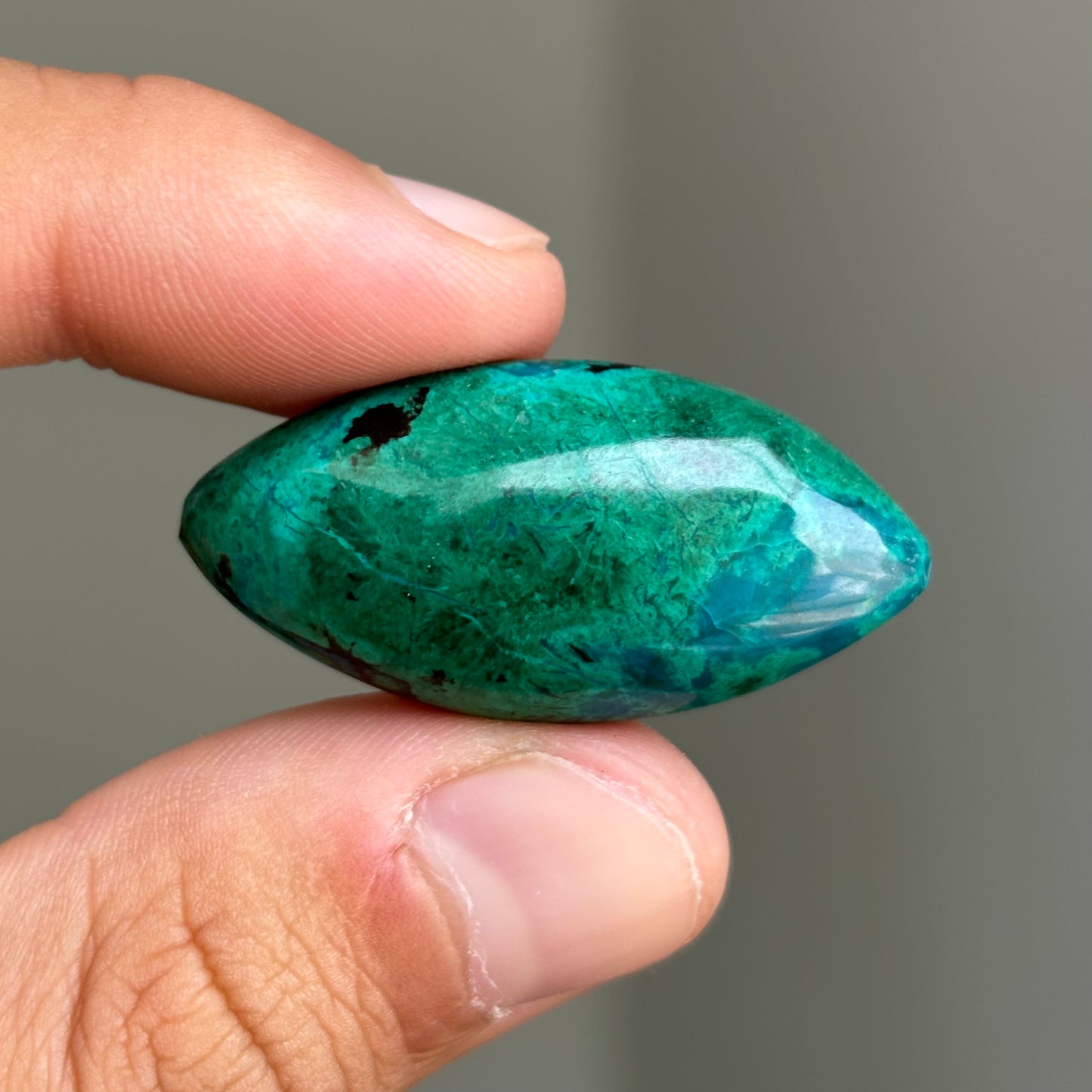 chrysocolla cabochon with malachite