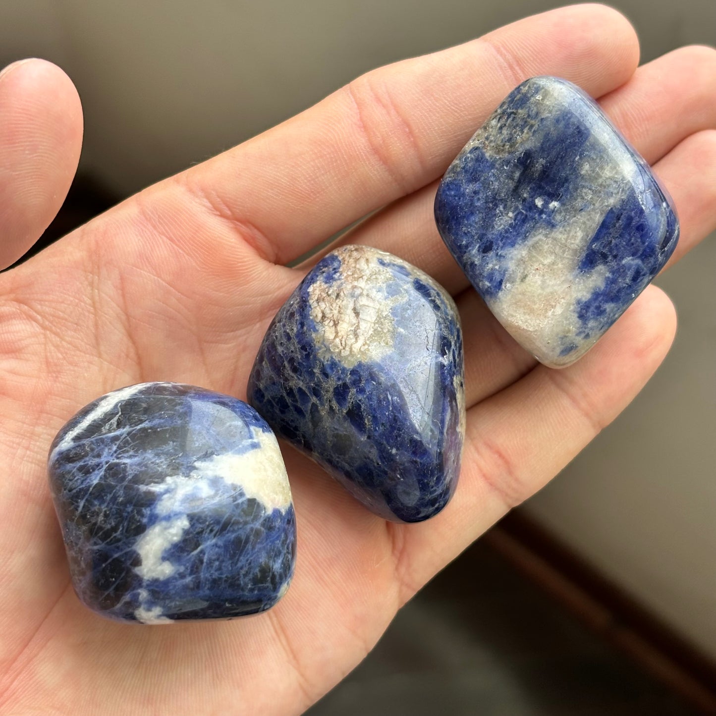 polished sodalite